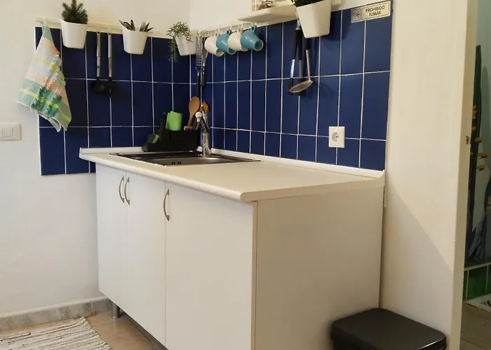 Flor De Platanero 木屋 加拉奇科